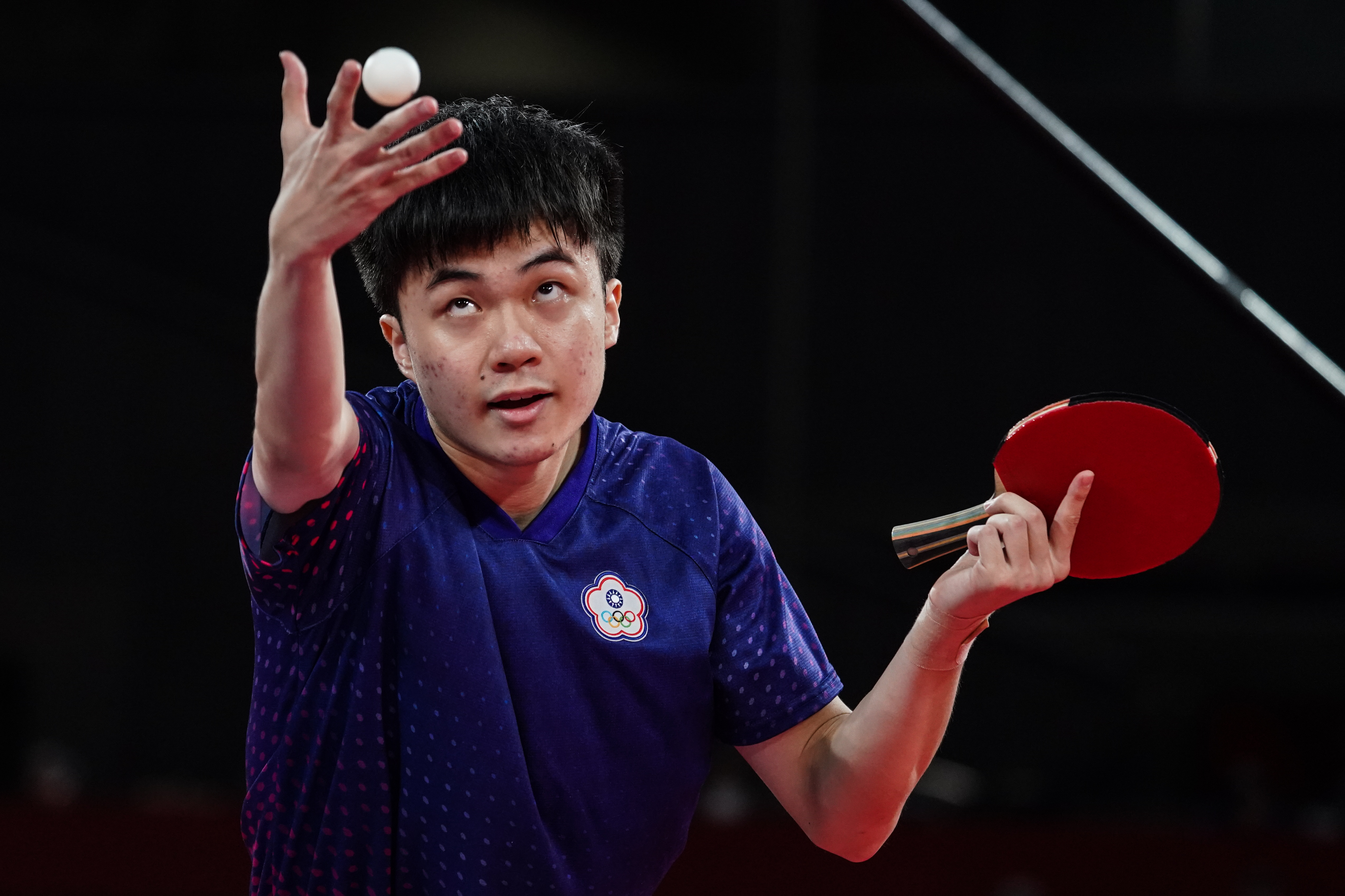 他们的能力 他们的能力